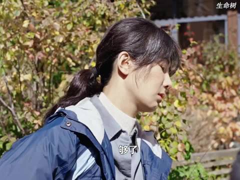 白菊邵云飞分开了，云飞在省城发展 ，杨紫 生命树