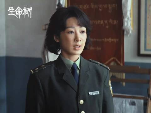 林县长与多杰从经济环保出发引热议