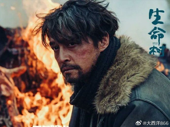 电视剧《生命树》中胡歌饰演的多杰，他的具体失踪原因是什么？