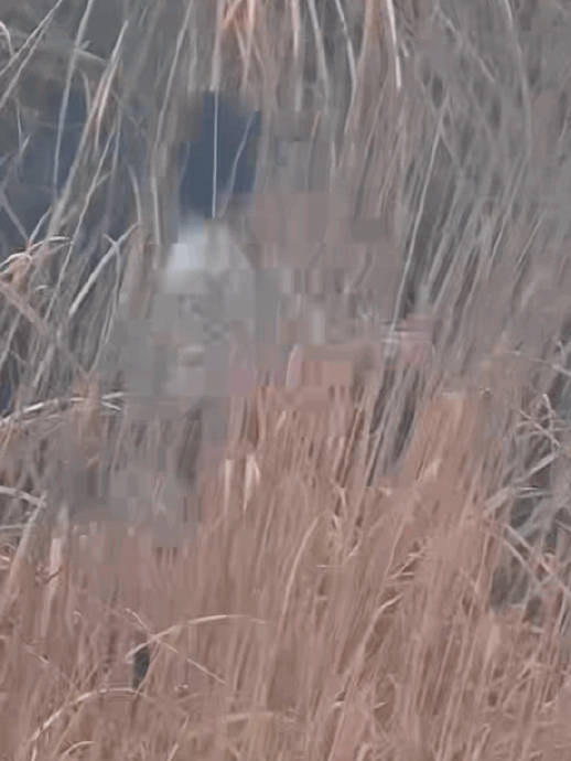 吴磊片场流鼻血，用芦苇杆止血引热议，高度契合角色人设