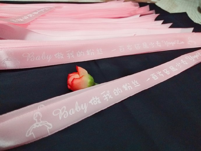 林宥嘉过去还有哪些反对网络攻击、引导粉丝的正向事例？