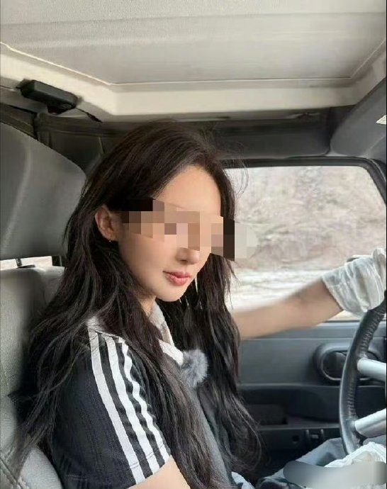 金晨肇事风波的法律处罚具体依据和最终结果是什么？