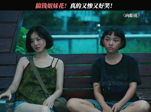 搞钱姐妹花，怎么这么搞笑啊！赵丽颖一分钟视频创作季春节二创视频大赛