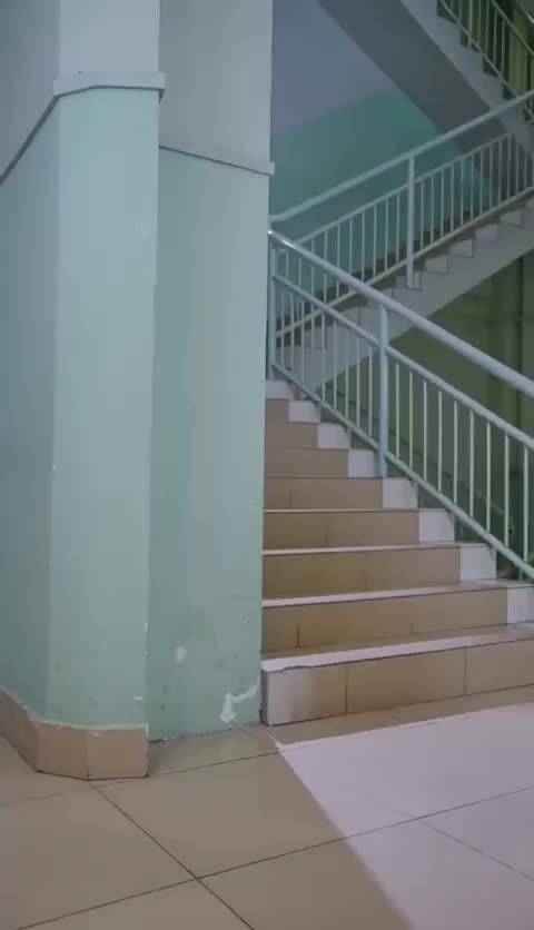 分享一下视频张艺兴，周星驰