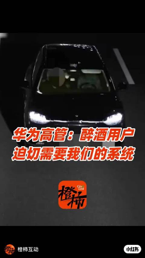 当前任何一家的智能驾驶都只是L2辅助驾驶