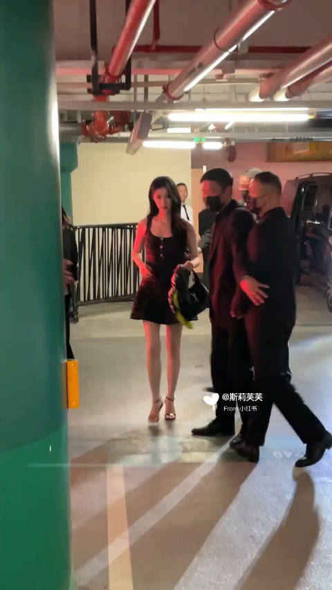 王楚然丞磊双人机场亮相引关注