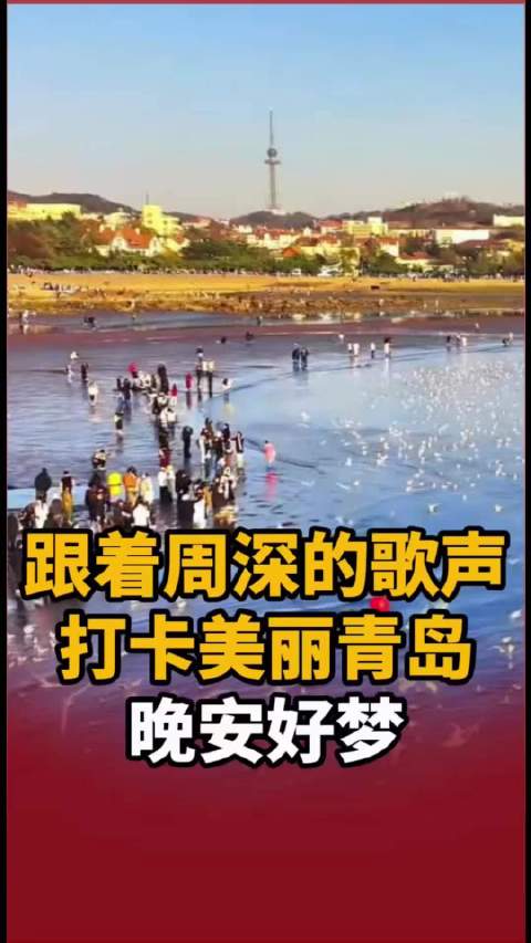 周深冬游青岛与海鸥共舞