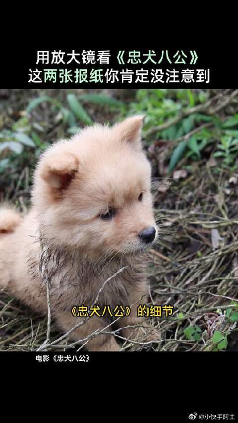 这是一个你绝对没有注意到的细节