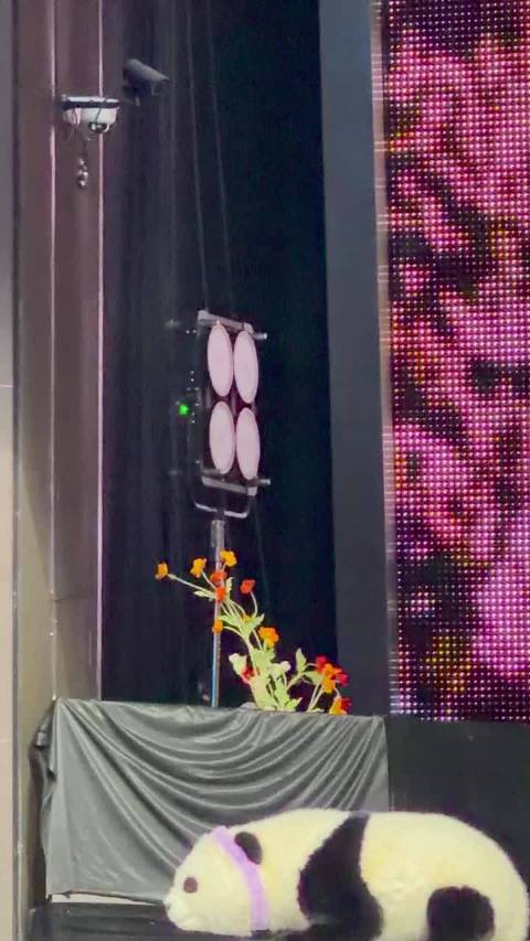 不是！成龙大哥带了一个真熊猫上台了啊