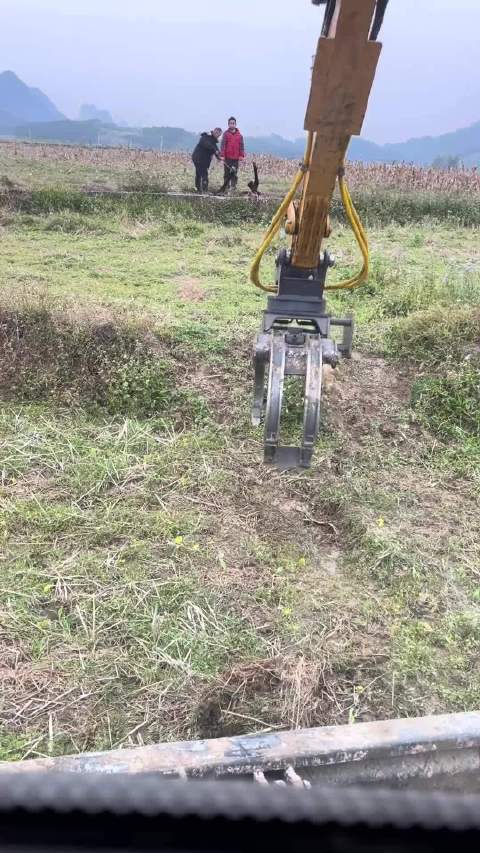 满地找宝马，没想到是真的马！