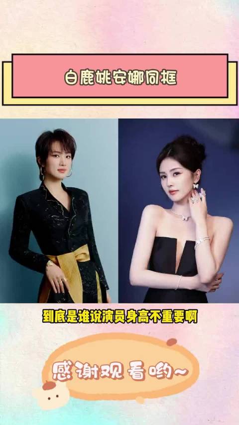 看到白鹿姚安娜同框才懂演员身高的重要性