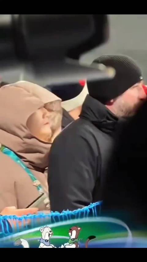 赛场暴力熊猫场下阳光依旧