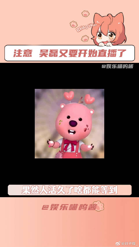 吴磊直播粉丝提前过年 微博VC计划