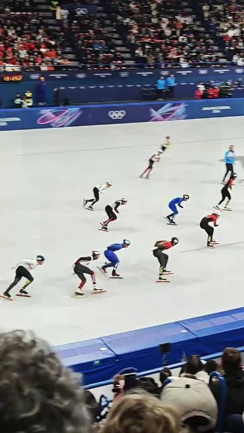 中国短道混接失误憾失奖牌，意大利夺金