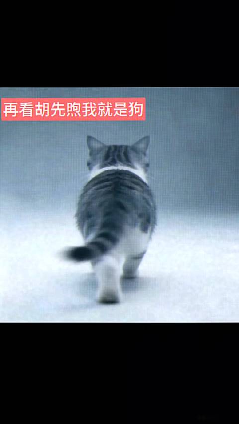 再看胡先煦 我就是狗 嘿嘿，我只能是胡先煦 的狗胡先煦胡先煦全肯定