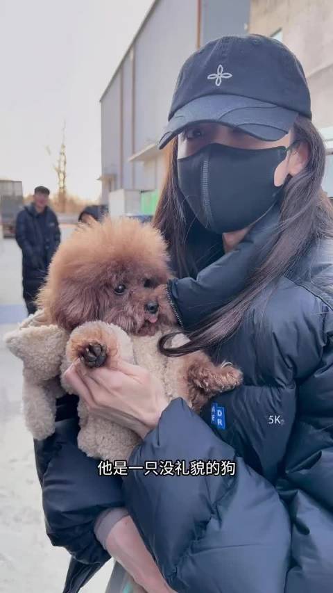 娜扎吐槽小狗Cookie没礼貌遭吐舌回应