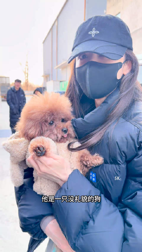 娜扎让小狗打招呼遭拒，小狗吐舌头回应