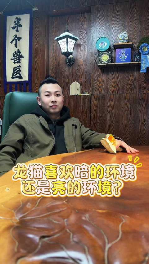 昼伏夜出的龙猫到底是鼠还是猫