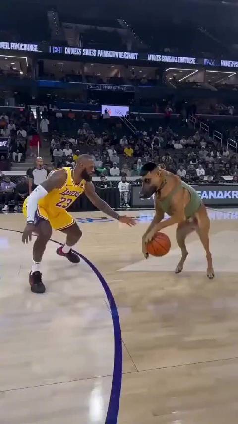 Ai时代，连狗都可以实现与詹姆斯球场单挑的梦想！