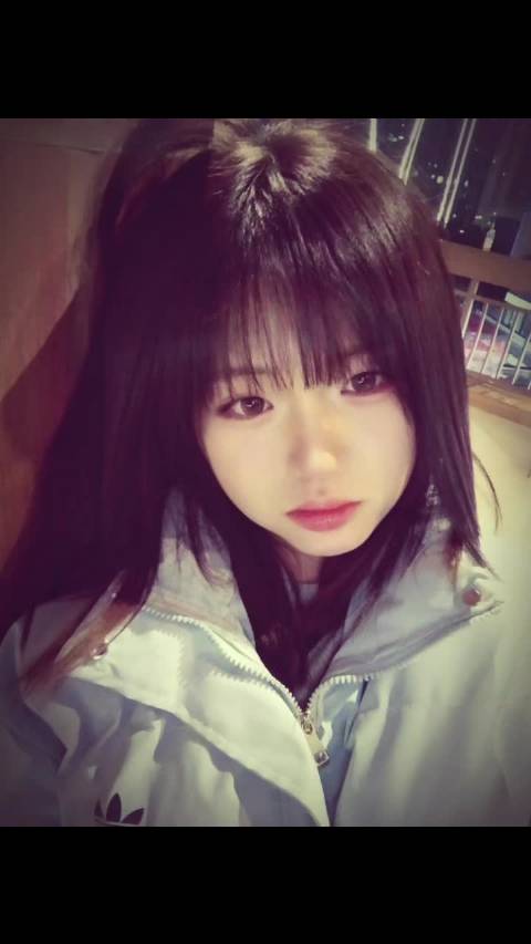 王安宇歌王安宇歌曲想自由