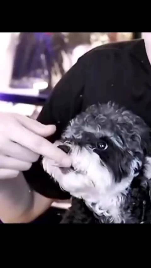 这有什么可炫耀的