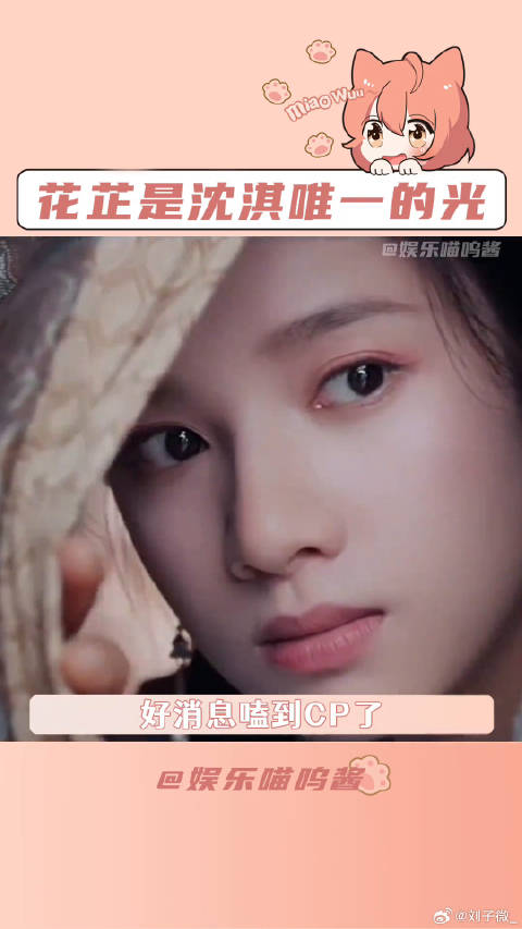 花芷是沈淇唯一的光 微博VC计划