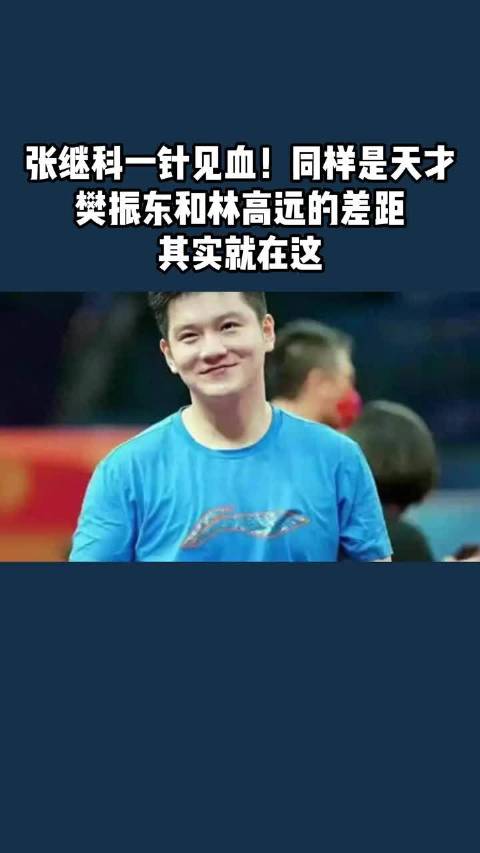 张继科一针见血！同样是天才，樊振东和林高远的差距，其实就在这