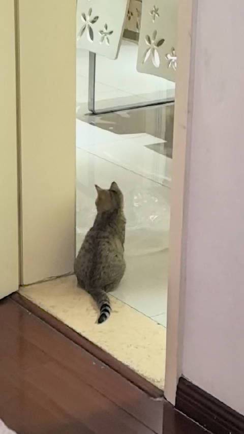 听到隔壁家长训小孩和小孩哭声一秒就蹿出去坐在门口