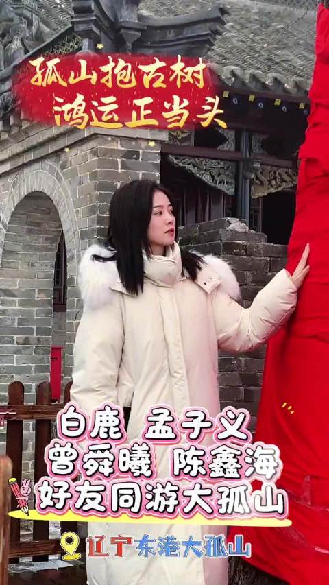 白鹿、孟子义、曾舜晞、陈鑫海同游大孤山