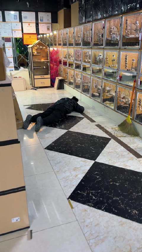 老板说今天不卖100只龙猫就让我睡地板