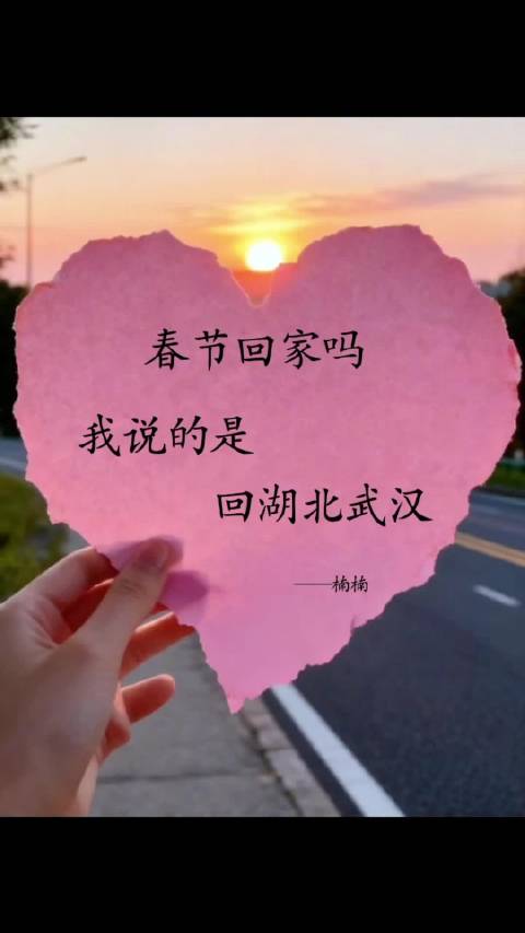 哎华仔我看到了