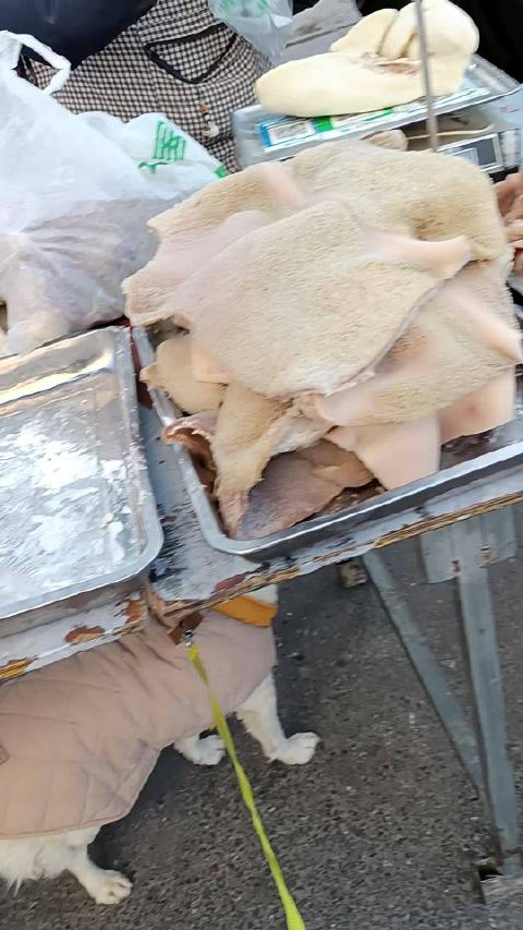 狗子盯上牛杂摊挑食拒吃边角料