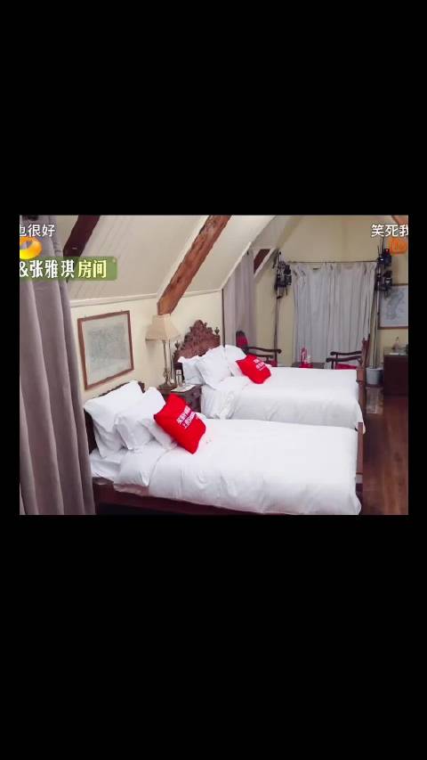 那英李沁花儿与少年互动逗趣