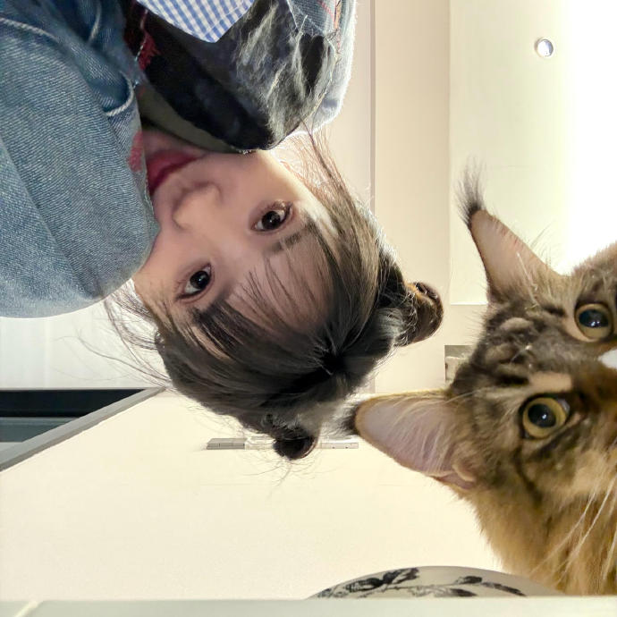 除了这次plog，田曦薇和猫咪康康还有哪些有趣的日常互动分享？