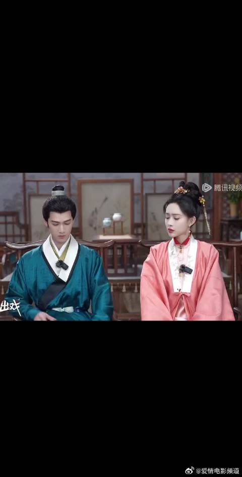 豹豹猫猫太甜了太甜了，根本停不下来