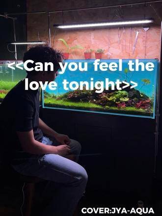 男子对鱼缸唱狮子王名曲，鱼群浮出水面张望