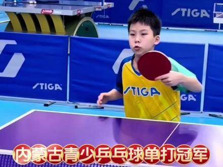 乒乓小将视林高远为榜样，豪言冲击更高领奖台