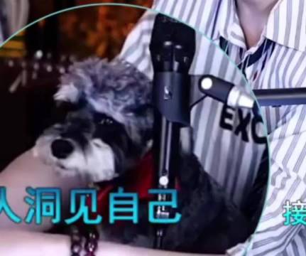 刘宇宁爱犬呆米舔手舔话筒萌态十足
