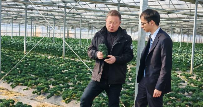 普惠贷款规模占上海地区总量12%！建行上海市分行坚守普惠金融第一线