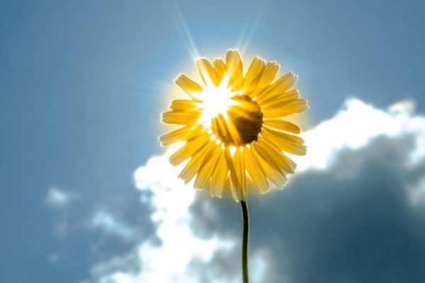 保险可以退保吗?退保损失怎么算?_米保险