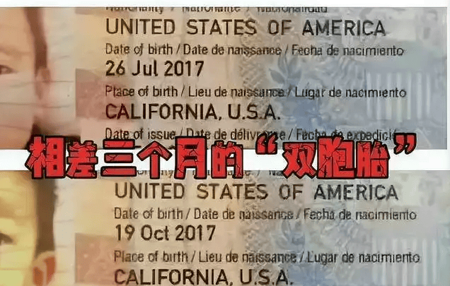 从张雨绮案例看:六亲与宿命因缘