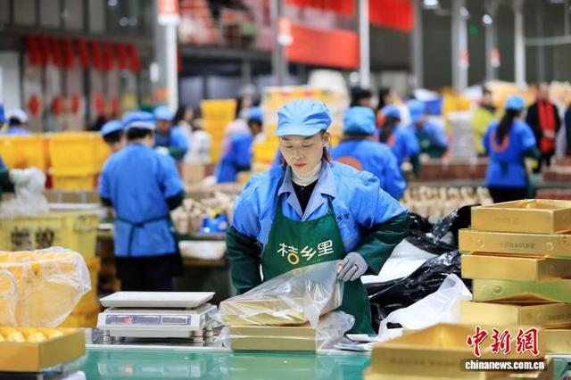 图为工人在包装融安金桔，供应年货市场。谭凯兴 摄