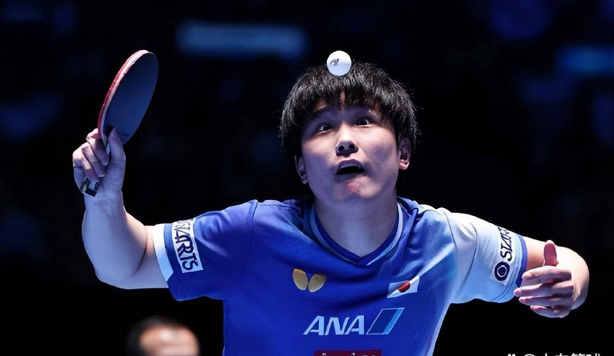 四局仅让对手20分!张本智和怒吼震撼全场 日乒一哥知耻图强再出发