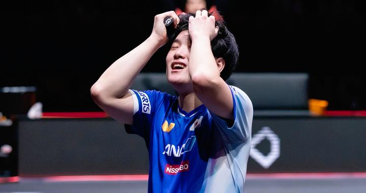 总是在追寻认同感的张本智和，终究还是为自己的无知买了单