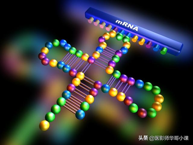 磁共振线圈分类_磁共振MRI序列的分类-CSDN博客