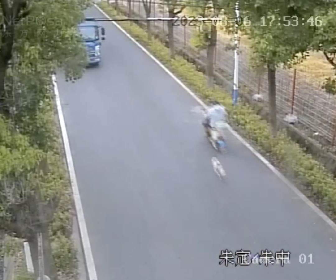 男子被狗追撞树身亡，狗主人要担责吗?