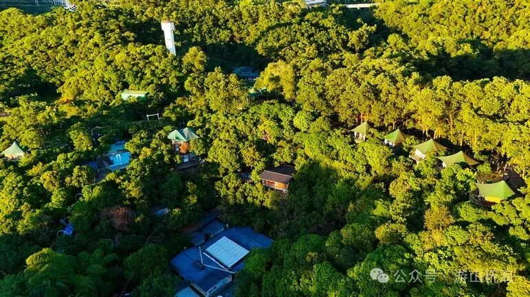 人少景美!私藏深圳市区的森林秘境营地