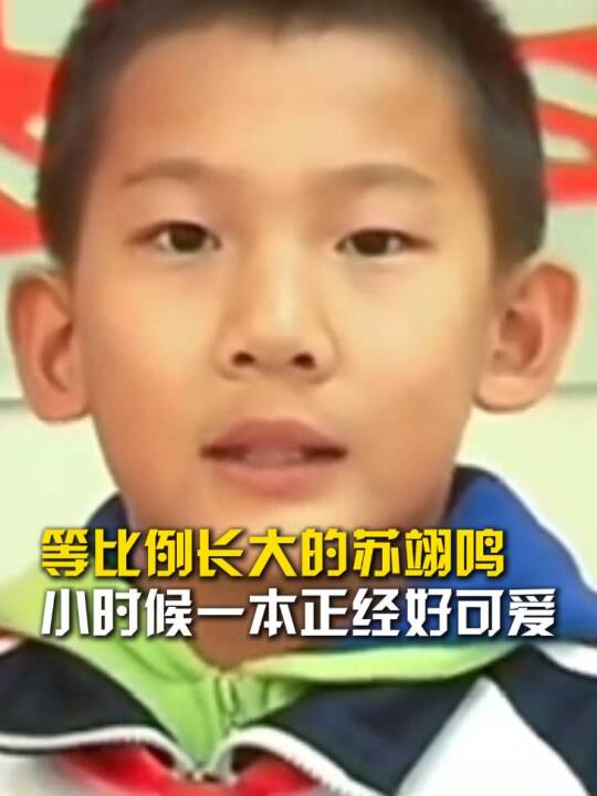 等比例长大的苏翊鸣，小时候一本正经好可爱