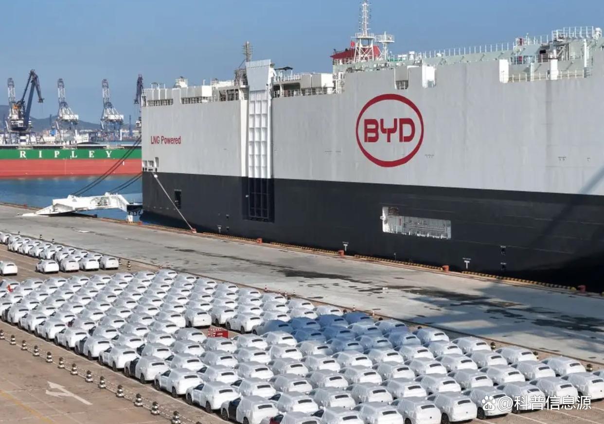 比亚迪登顶全球纯电销冠!马斯克当年笑出声,如今彻底笑不出来了