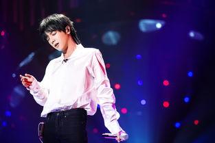 华晨宇公司有哪些艺人_华晨宇有公司吗